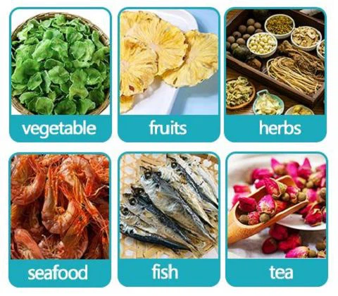 Coal Fire Power Plant